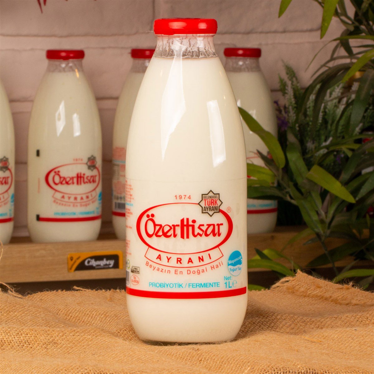 Ayran (Özer Hisar)